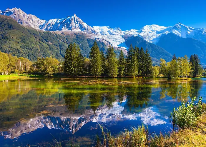 Bel'alp 16 - Happy アパート シャモニー